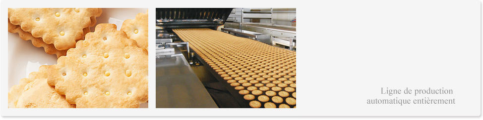La chaîne de production de biscuit moelleux / dur