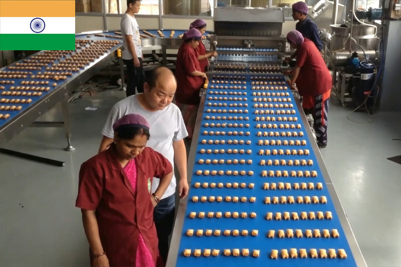 Ligne à grande vitesse India Bear Cake 400 kg/h