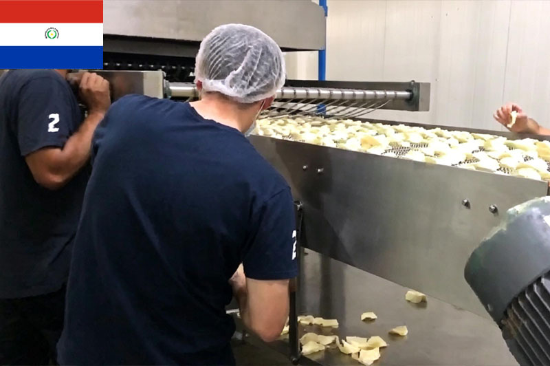 Projet de production de copeaux au Paraguay 250 kg/h