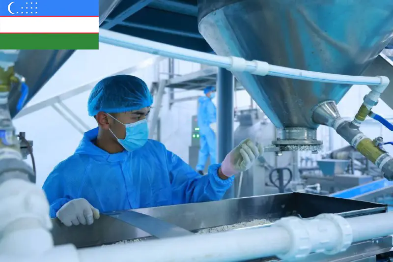 Ouzbékistan | Projet clé en main de ligne de production de snacks de riz